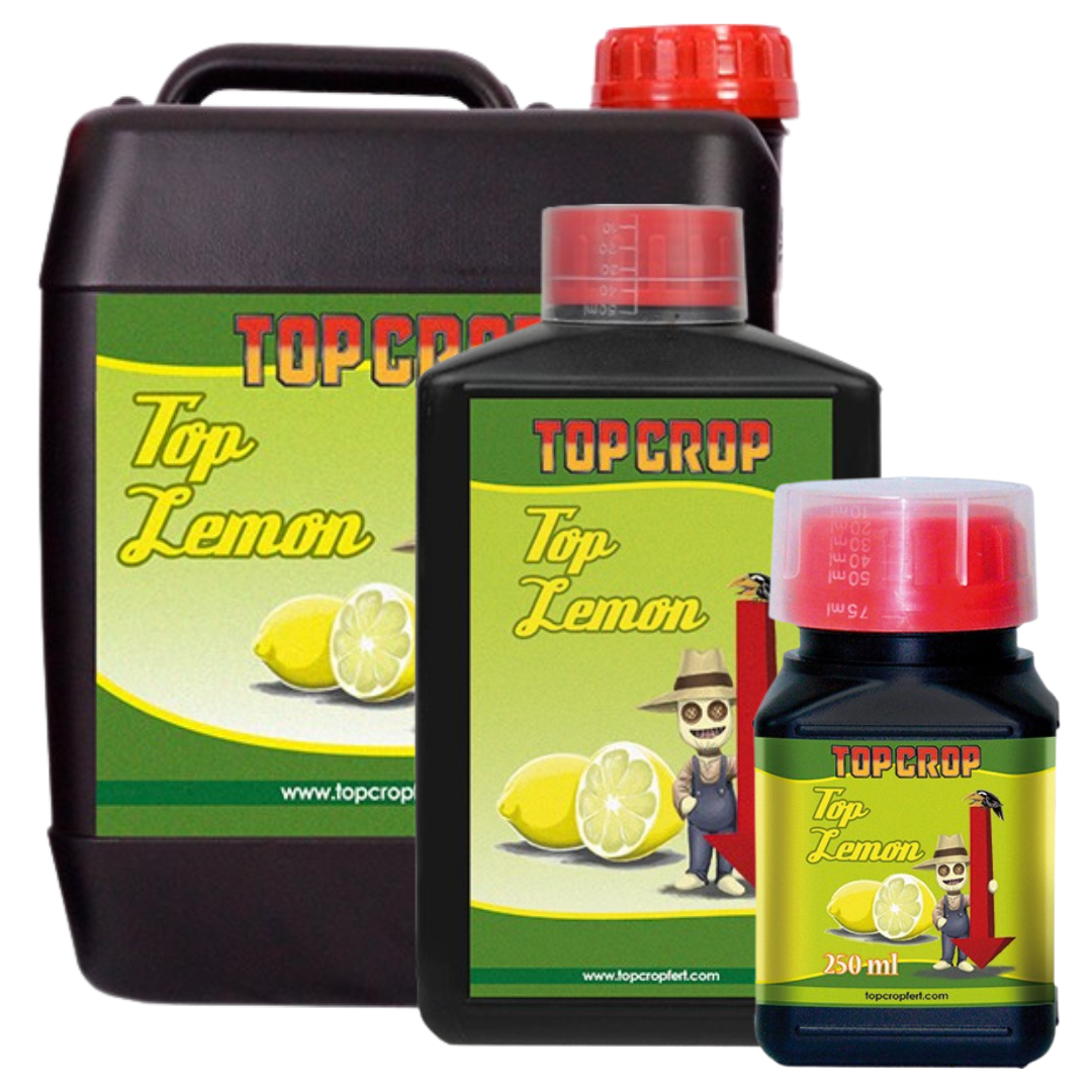 TOP LEMON TOP CROP