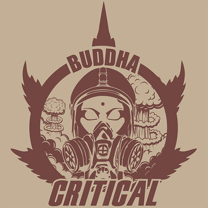 BUDDHA CRITICAL FEM