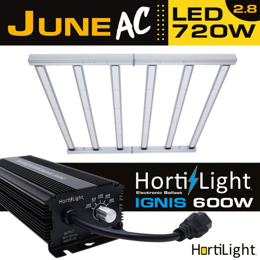 LED JUNE AC 720W + BALASTRO HORTILIGHT