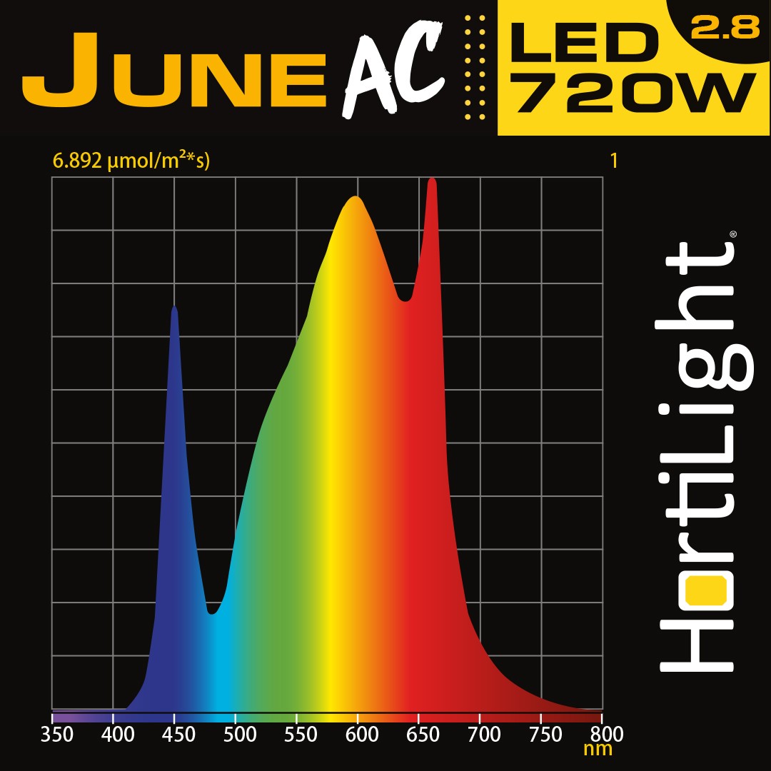 LED JUNE AC 720W + BALASTRO HORTILIGHT