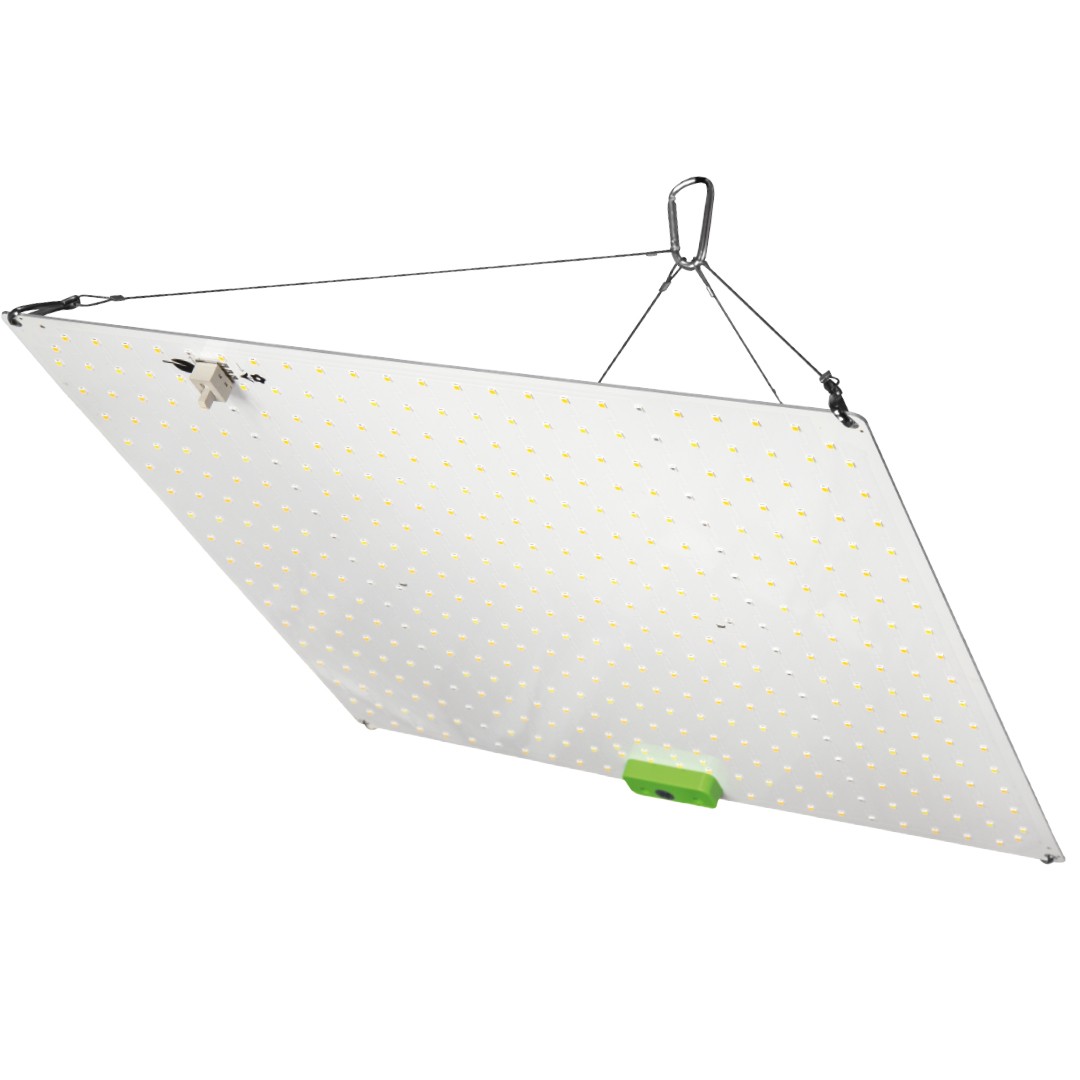 LITHA S LED QBOARD 150W DUAL HORTILIGHT